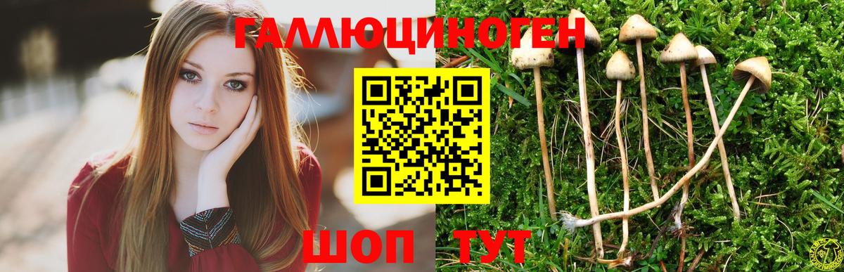 Кинешма  Галлюциногенные грибы GOLDEN TEACHER  Галлюциногенные грибы MAGIC MUSHROOMS  Вход с VPN 